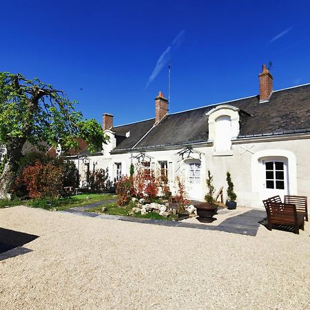 Bed and Breakfast La Jacquiere Chaumont-sur-Loire Exterior foto