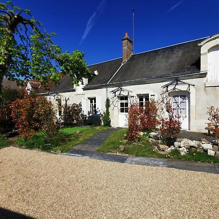 Bed and Breakfast La Jacquiere Chaumont-sur-Loire Exterior foto