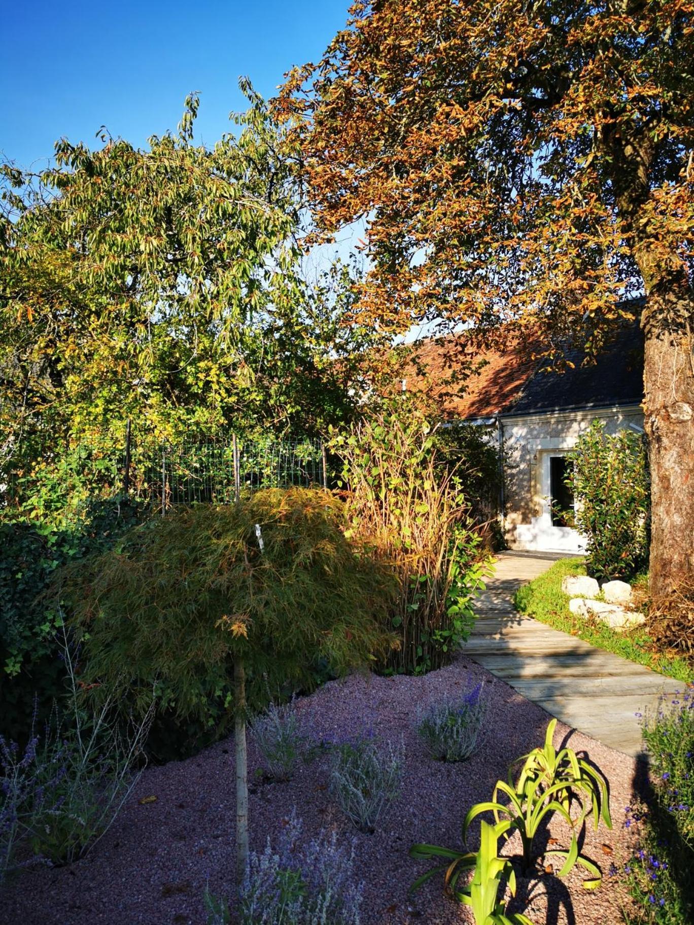 Bed and Breakfast La Jacquiere Chaumont-sur-Loire Exterior foto